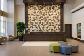 Embassy Suites by Hilton The Woodlands at Hughes Landing - Réception