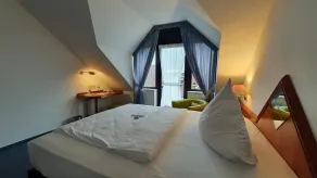Business double room, shower/WC - Camera