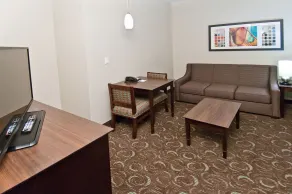 Holiday Inn Express & Suites San Antonio Frost Bank Center by IHG - Room