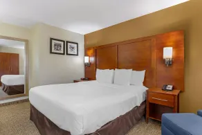 Comfort Inn Wichita Falls North - Chambre