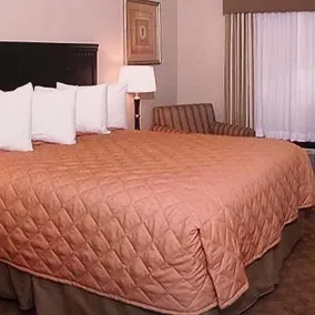 Americas Best Value Inn & Suites-Griffin - Chambre