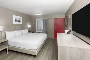 Ramada By Wyndham Kenner/New Orleans Airport South - Chambre
