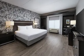 Hampton Inn & Suites Chattanooga/Downtown - Chambre