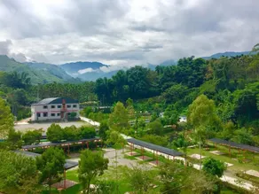 溪頭老爺山莊Xitou Royal Villa - View from room