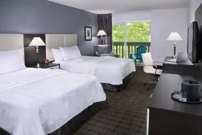 Toronto Don Valley Hotel and Suites - Chambre