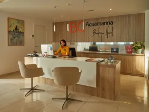 BQ Aguamarina - Réception