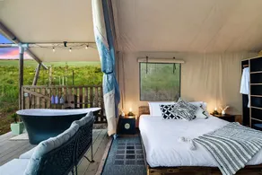 Cicada Luxury Camping - Habitación