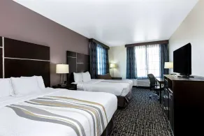 La Quinta by Wyndham Denver Gateway Park - Værelse
