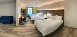 Holiday Inn Express Hotel & Suites Memphis/Germantown by IHG - Chambre