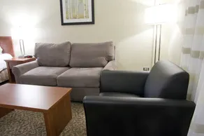 Clarion Hotel & Suites - Room