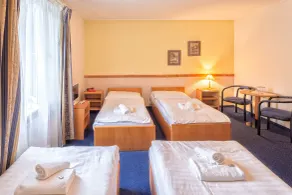 Prague Hotel Carl Inn Restaurant & Parking - Room