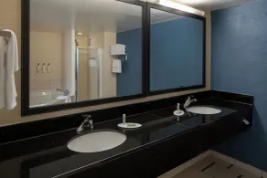 Fairfield Inn and Suites Atlanta Airport South/Sullivan Road - Salle de bain