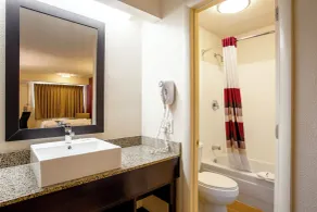 Red Roof Inn PLUS+ Atlanta - Buckhead - Badeværelse
