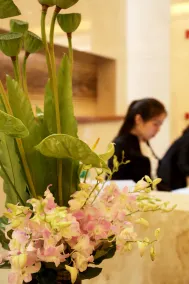 Lia Chengdu Hotel - Reception