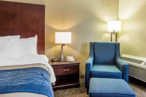 Comfort Inn Atlanta Downtown South - Habitación