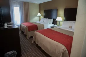 Comfort Inn - Chambre
