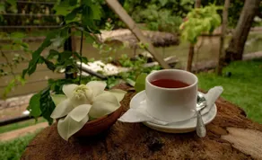Ayur Ayur Resort & Ayurveda Retreat - Restaurant
