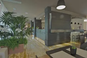 Zen Hotel Versilia - Réception