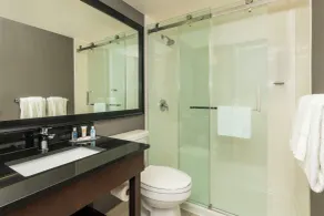 Comfort Inn Saskatoon Centre - Baño