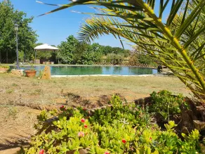 Agriturismo Il Poderino - Pool