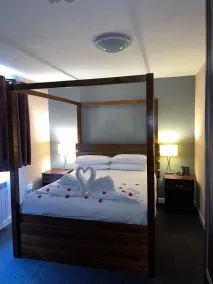 Springfield Hotel & Health Club - Room