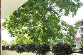 Thien Thanh Hotel - View from room