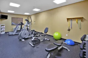 Holiday Inn Express Irwin PA TPK Exit 67 by IHG - Salle de remise en forme