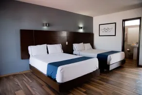 Hotel Expo Plaza Business and Family Guadalajara - Chambre
