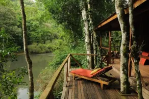 Margay - Reserva Natural y Lodge de Selva - Udsigt fra værelset