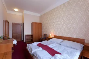 Hotel U Černého orla - Room