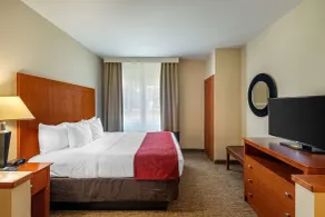 Comfort Suites North Dallas - Chambre