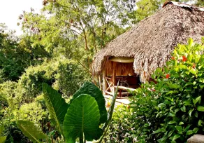 Ecolodge Tubagua Puerto Plata - Room