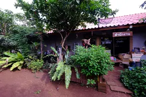 Pasak Resort Sawang Dandin - Lobby