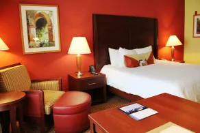 Hilton Garden Inn Houston West Katy - Chambre