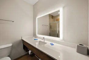 Holiday Inn Express Hotel & Suites Limon I-70/Exit 359 by IHG - Salle de bain