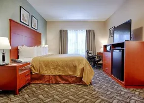 Quality Inn Southampton - Room
