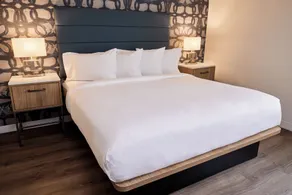 Hive House - Chambre