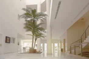 Rafa Homes - Al Falah - Reception