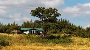 Anabas Mount Kenya Lodge - Chambre