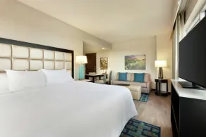 Embassy Suites by Hilton San Antonio Landmark - Rum