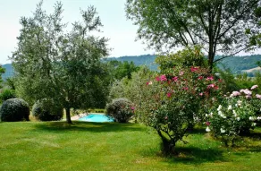 Casale Chimneys Immersed in Olive Trees - Pool