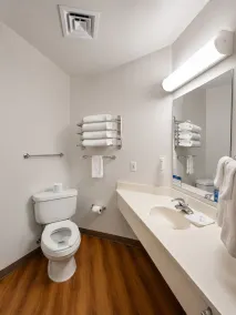 Econo Lodge Menomonie - Bathroom