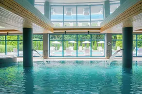 Villa Park Med. & SPA - Piscina