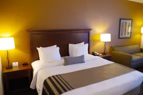 Best Western Plus Lincoln Inn & Suites - Chambre