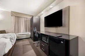 Sleep Inn Athens I-65 - Chambre