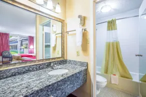 Econo Lodge Cave City - Salle de bain