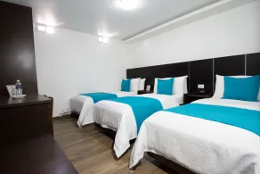 Hotel Plaza Victoria - Habitación