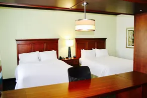 Hampton Inn & Suites San Antonio/Northeast I-35 - Chambre