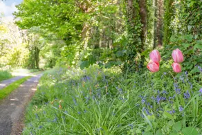 Bluebell Cottage - Interiør