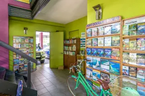Dreamcatcher Beach-Side Apartments - Recepción
